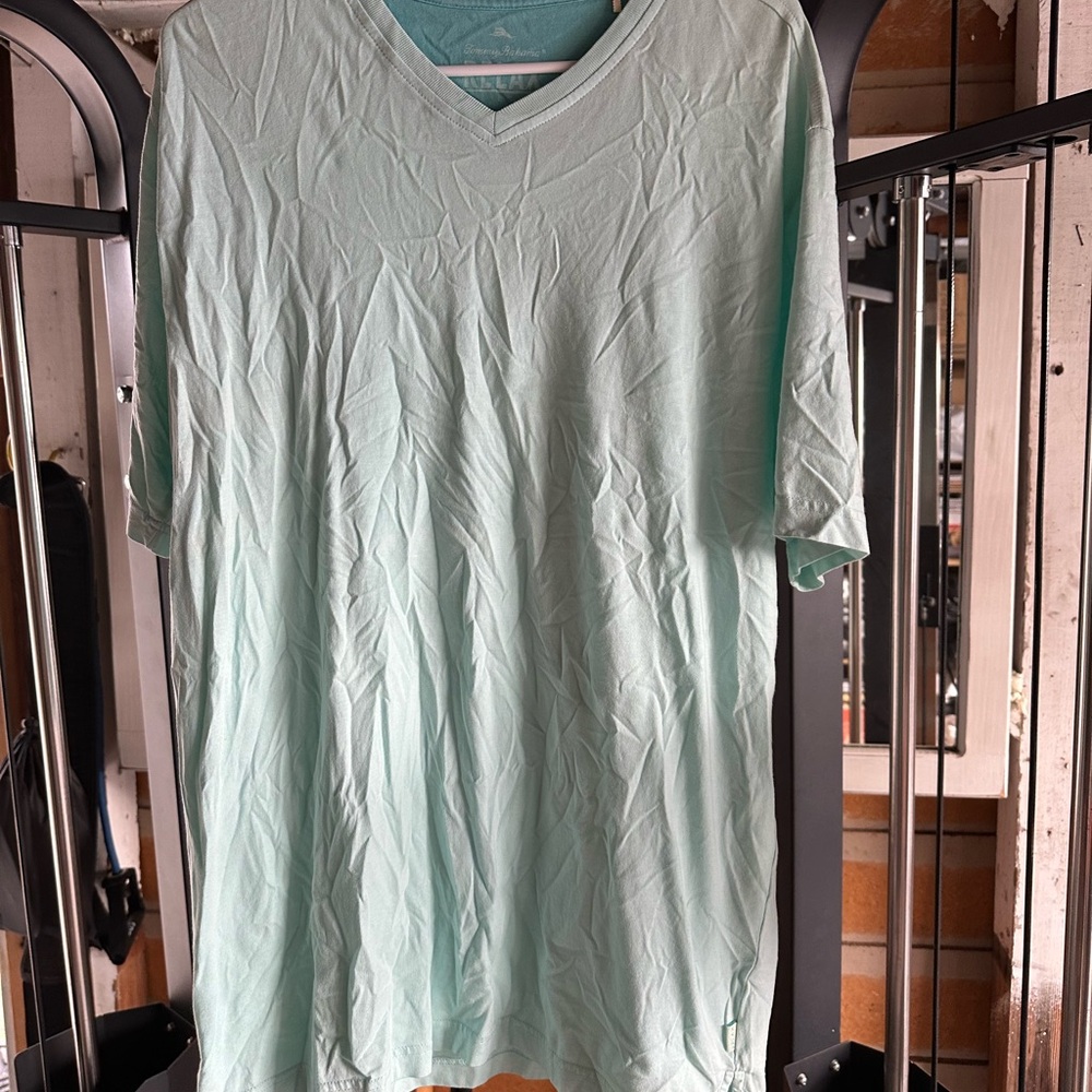 Light Green V-Neck Men's Shirt